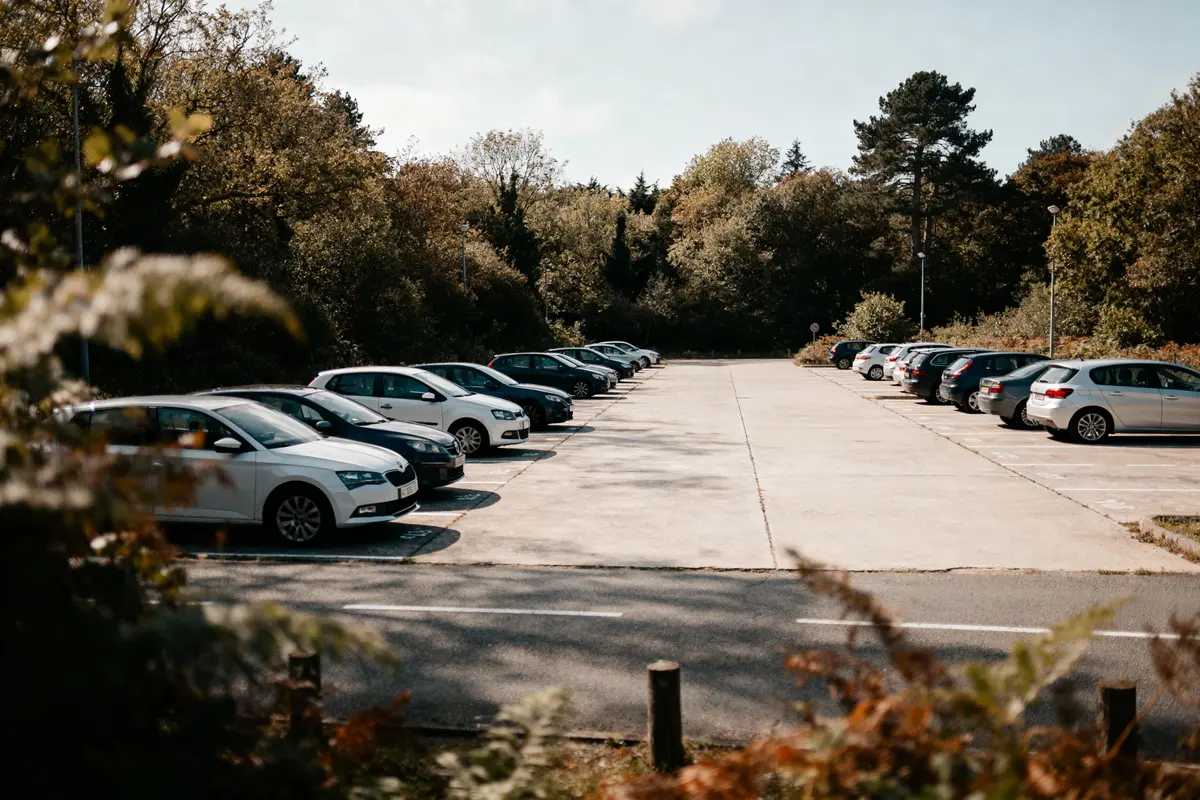 Parking extérieur bordé d'arbres avec voitures alignées, ciel bleu, lumière ensoleillée, ambiance sereine.
