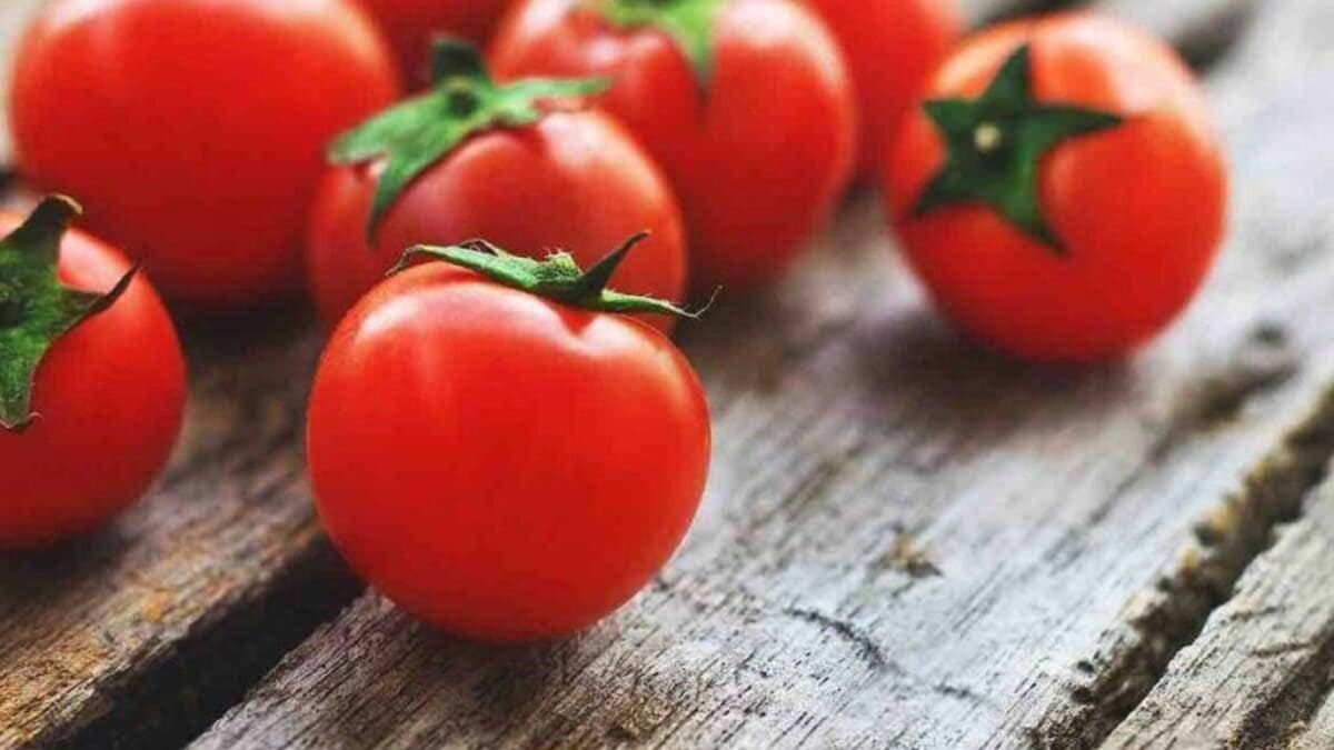 voici l’endroit idéal pour conserver vos tomates sans qu’elles pourrissent
