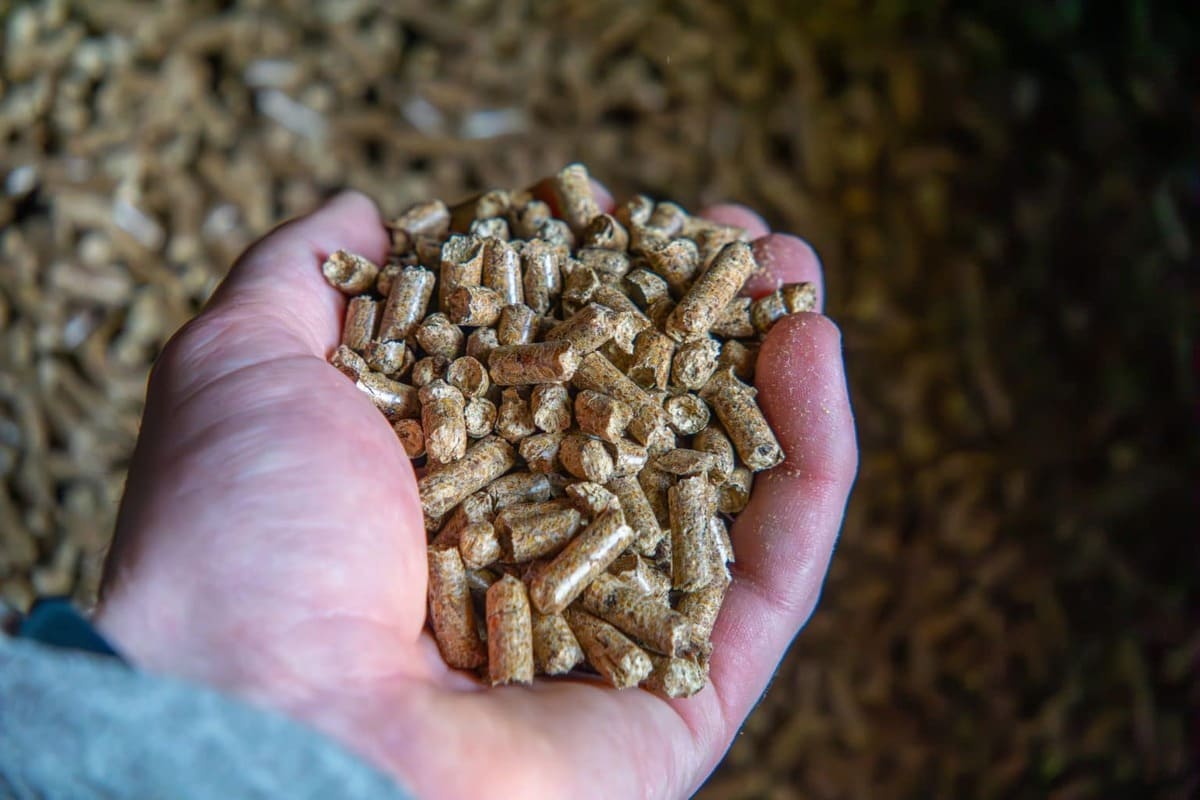 Leur stock de pellets semblait intact