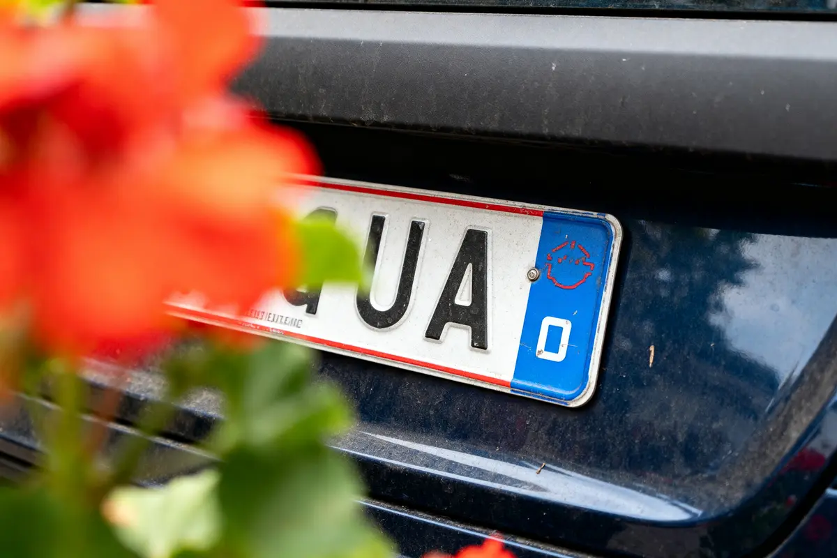 Plaque d'immatriculation de voiture floue en arrière-plan, fleurs rouges au premier plan.